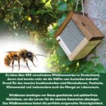 Bienen Nistkasten Wildbienen
