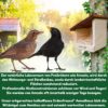 Nistkasten für Gartenvögel